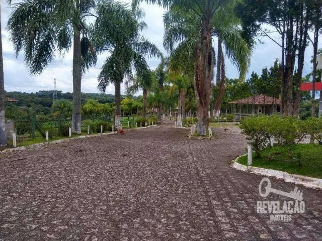 Sítio / Chácara para Venda em São José dos Pinhais/PR Roça Velha 3 Quartos