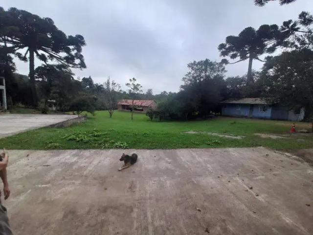 Sítio / Chácara para Venda em São José dos Pinhais/PR Roça Velha 3 Quartos