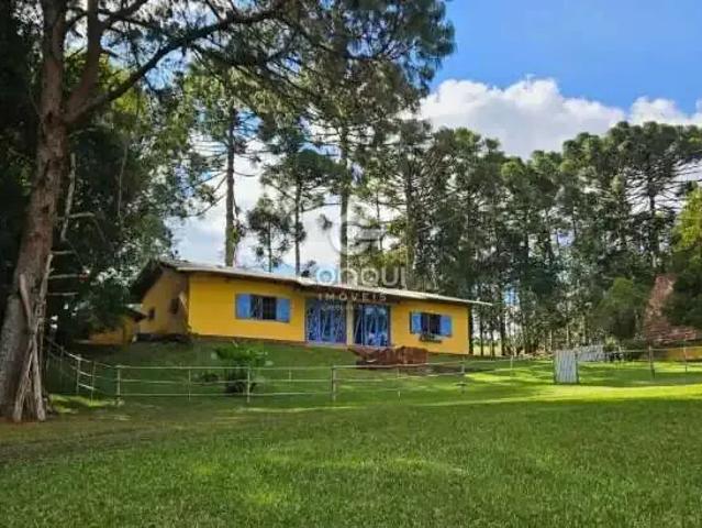 Sítio / Chácara para Venda em São José dos Pinhais/PR Roça Velha 5 Quartos