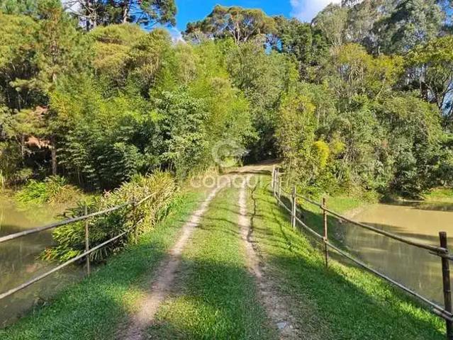 Sítio / Chácara para Venda em São José dos Pinhais/PR Roça Velha 5 Quartos