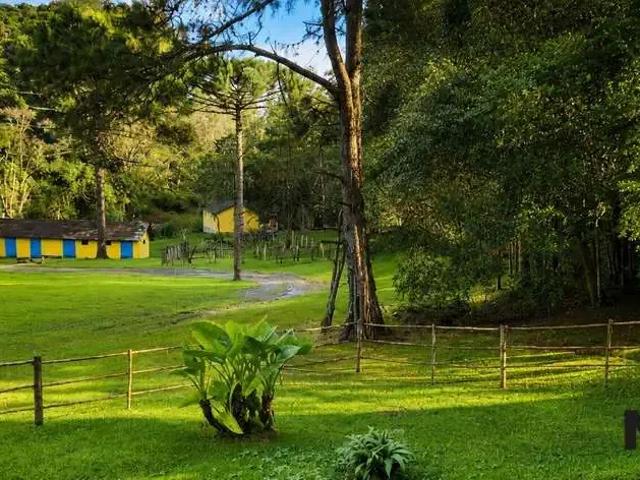Sítio / Chácara para Venda em São José dos Pinhais/PR Roça Velha 6 Quartos