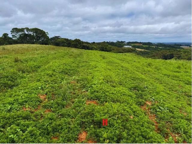 Sítio / Chácara para Venda em São José dos Pinhais/PR Roça Velha