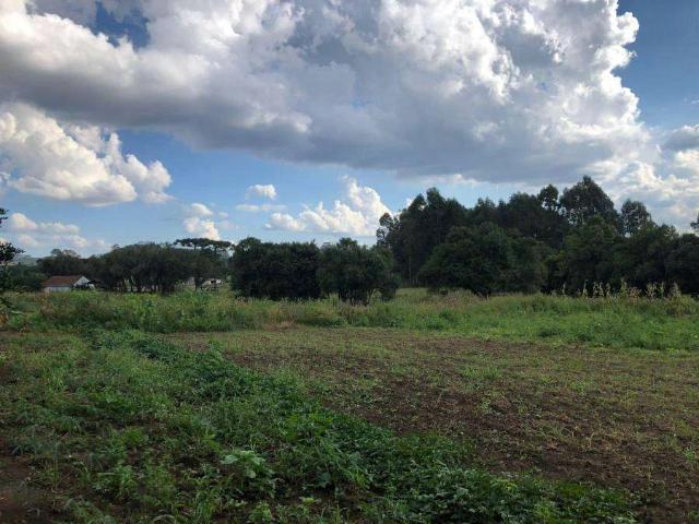 Sítio / Chácara para Venda em São José dos Pinhais/PR Roseira de São Sebastião