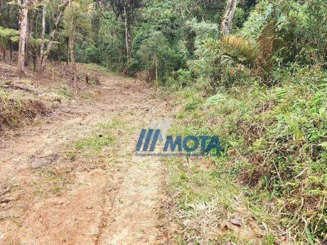 Sítio / Chácara para Venda em São José dos Pinhais/PR São Sebastião