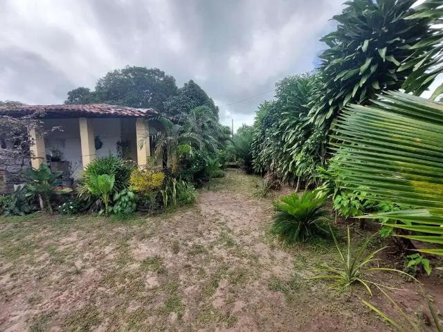 Sítio / Chácara para Venda em São José de Ribamar/MA Zona Rural 2 Quartos