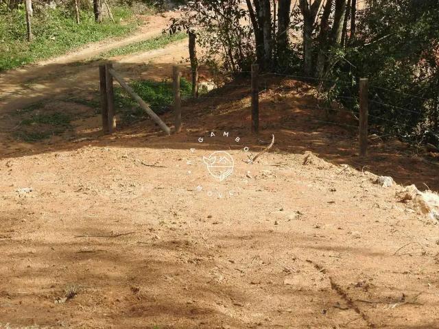 Sítio / Chácara para Venda em São José/SC Colônia Santana 1 Quartos