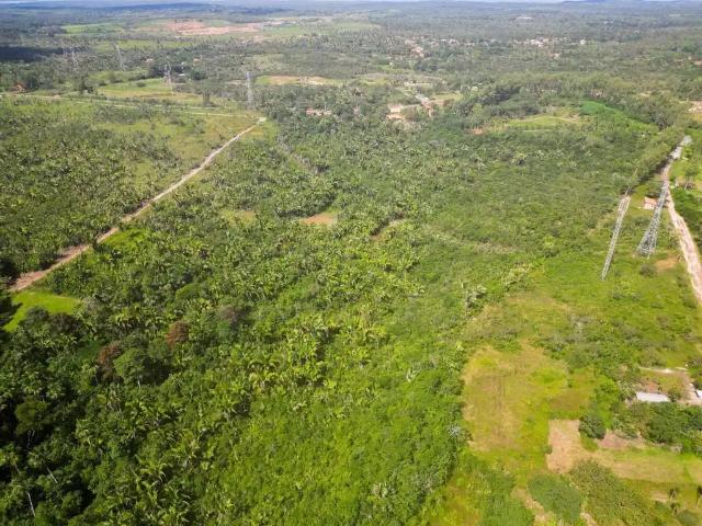 Sítio / Chácara para Venda em São Luís/MA Área Rural de São Luís 1 Quartos