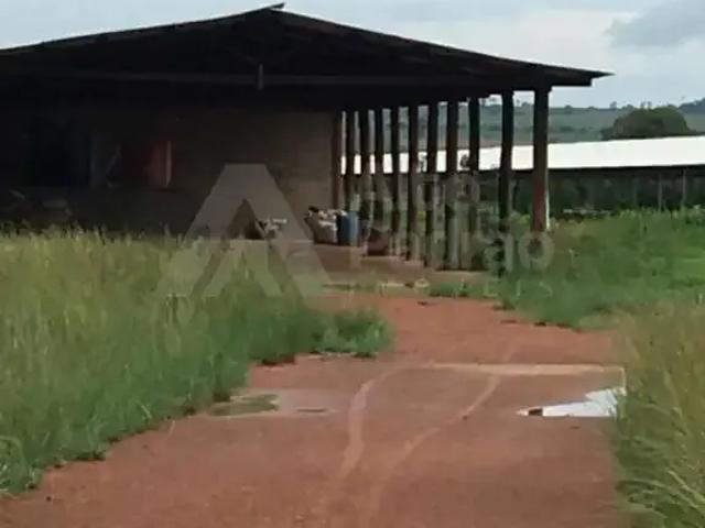 Sítio / Chácara para Venda em São Luís/MA Jaracaty 20 Quartos