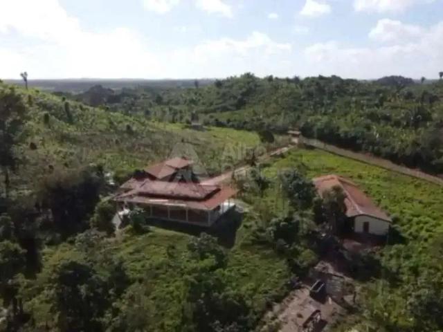 Sítio / Chácara para Venda em São Luís/MA Jaracaty