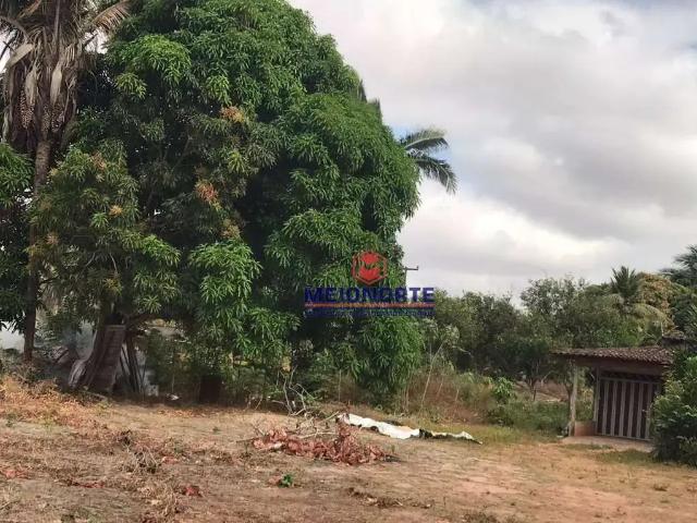 Sítio / Chácara para Venda em São Luís/MA Residencial Paraíso 1 Quartos