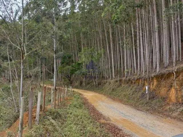 Sítio / Chácara para Venda em São Luiz do Paraitinga/SP Catuçaba