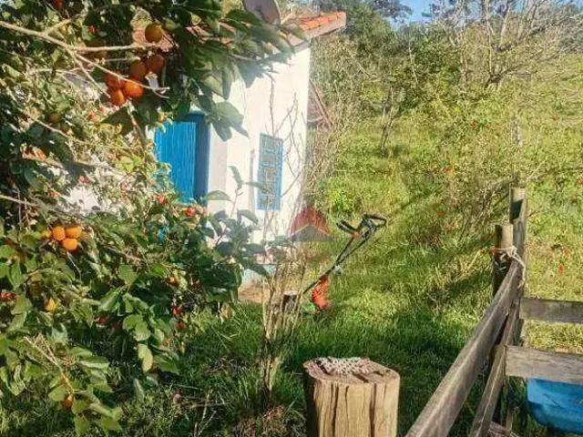 Sítio / Chácara para Venda em São Luiz do Paraitinga/SP Cedro Alto 4 Quartos
