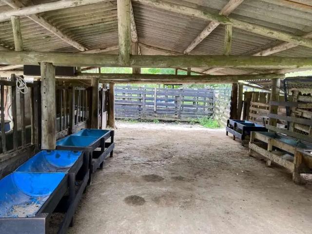 Sítio / Chácara para Venda em São Luiz do Paraitinga/SP Centro 1 Quartos