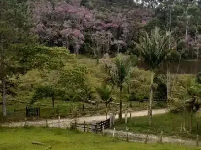 Sítio / Chácara para Venda em São Luiz do Paraitinga/SP Centro 3 Quartos