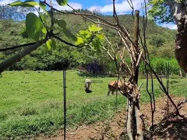 Sítio / Chácara para Venda em São Luiz do Paraitinga/SP Zona Rural 3 Quartos