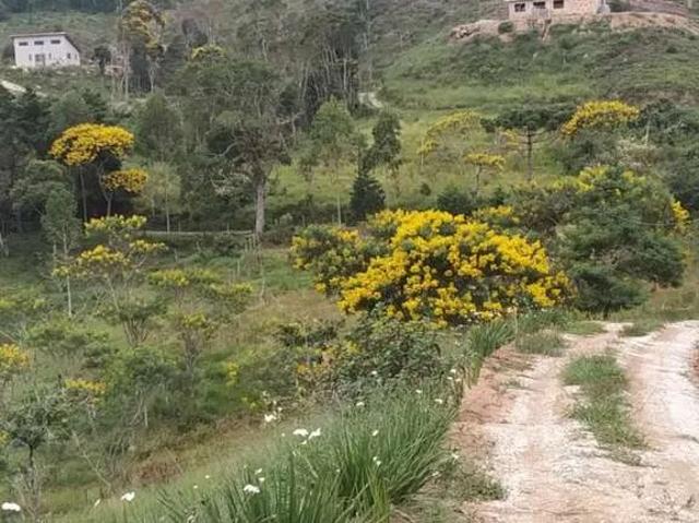 Sítio / Chácara para Venda em São Luiz do Paraitinga/SP Centro 1 Quartos