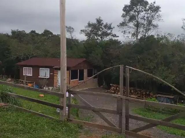 Sítio / Chácara para Venda em São Leopoldo/RS Fazenda São Borja 2 Quartos