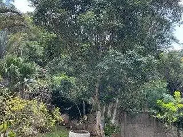 Sítio / Chácara para Venda em São Lourenço da Serra/SP Triângulo Azul 3 Quartos