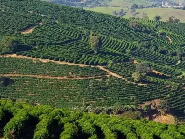 Sítio / Chácara para Venda em São Lourenço/MG Zona Rural