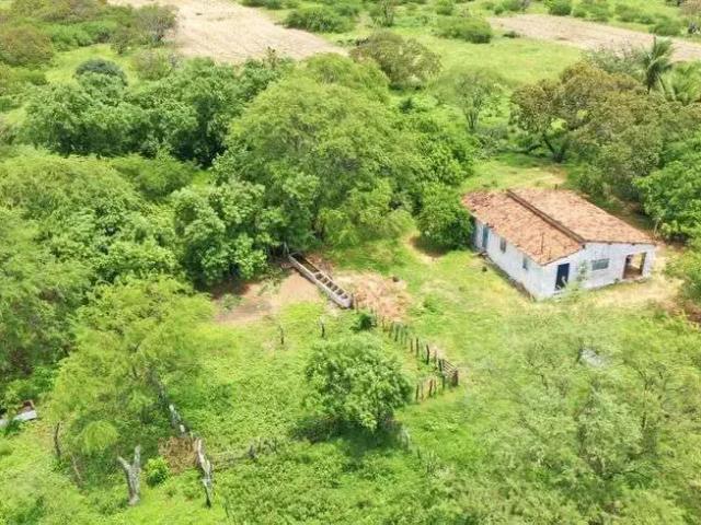 Sítio / Chácara para Venda em São Paulo do Potengi/RN Centro 2 Quartos