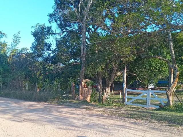 Sítio / Chácara para Venda em São Pedro da Aldeia/RJ Flexeira