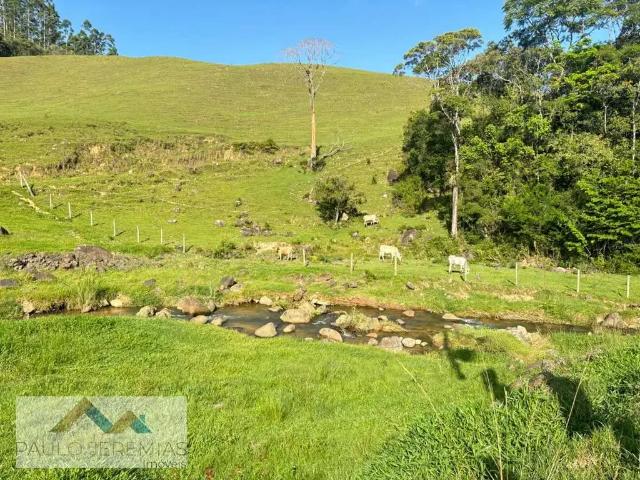 Sítio / Chácara para Venda em São Pedro de Alcântara/SC Alto Varginha