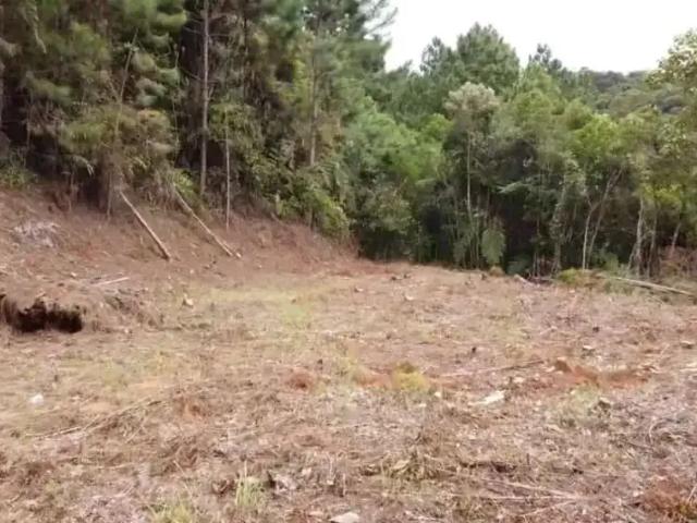 Sítio / Chácara para Venda em São Pedro de Alcântara/SC Barro Branco