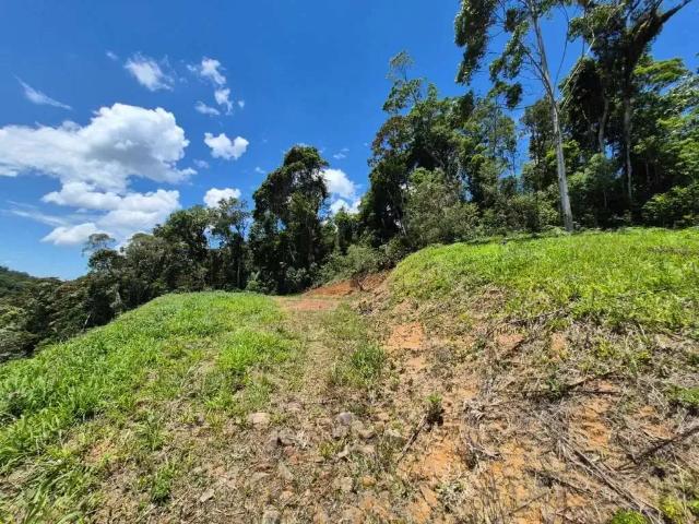 Sítio / Chácara para Venda em São Pedro de Alcântara/SC Barro Branco