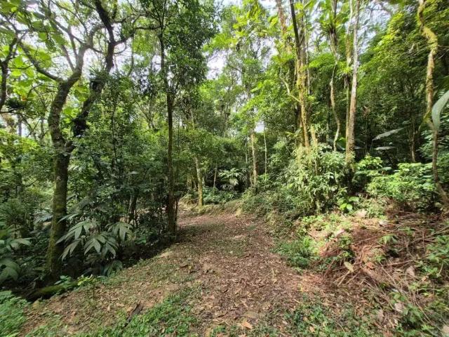 Sítio / Chácara para Venda em São Pedro de Alcântara/SC Barro Branco