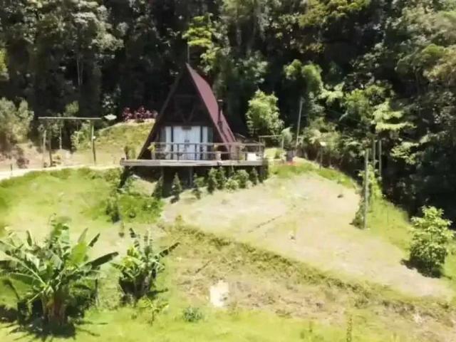 Sítio / Chácara para Venda em São Pedro de Alcântara/SC Barro Branco 1 Quartos