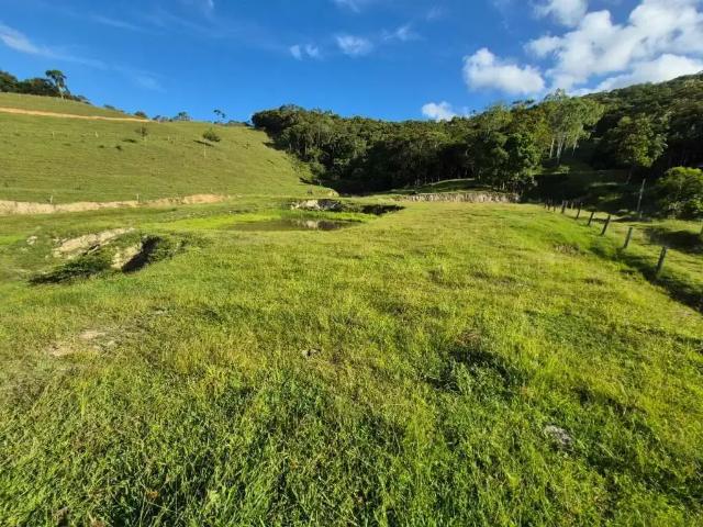 Sítio / Chácara para Venda em São Pedro de Alcântara/SC Centro