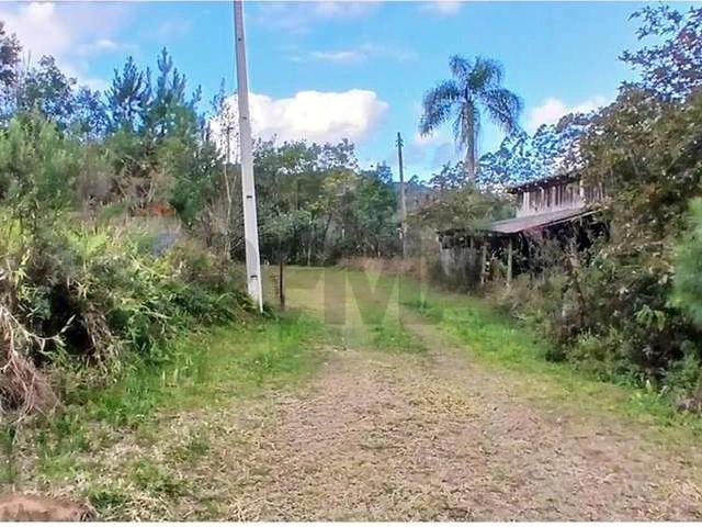 Sítio / Chácara para Venda em São Pedro de Alcântara/SC Centro