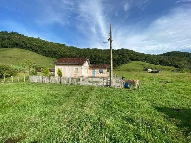 Sítio / Chácara para Venda em São Pedro de Alcântara/SC Centro 3 Quartos