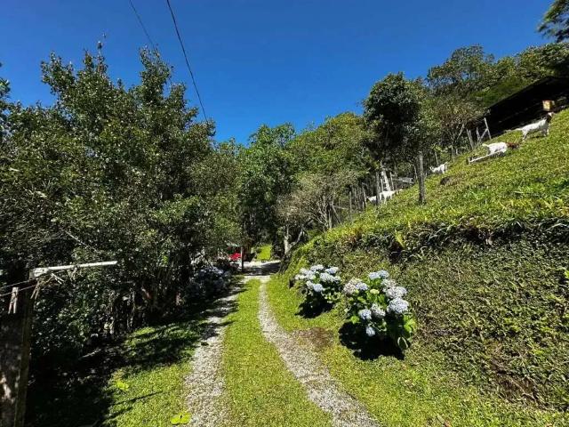 Sítio / Chácara para Venda em São Pedro de Alcântara/SC Centro 3 Quartos