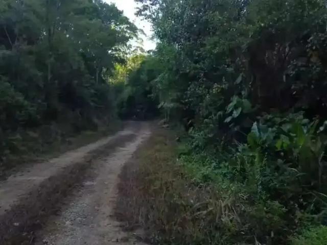 Sítio / Chácara para Venda em São Pedro de Alcântara/SC Santa Filomena
