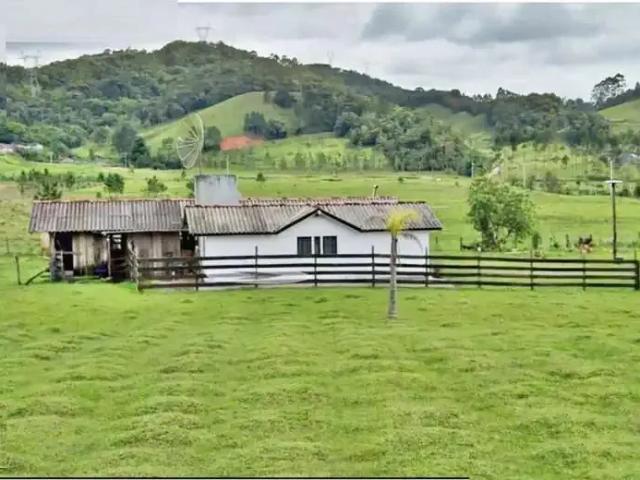 Sítio / Chácara para Venda em São Pedro de Alcântara/SC Santa Tereza 2 Quartos