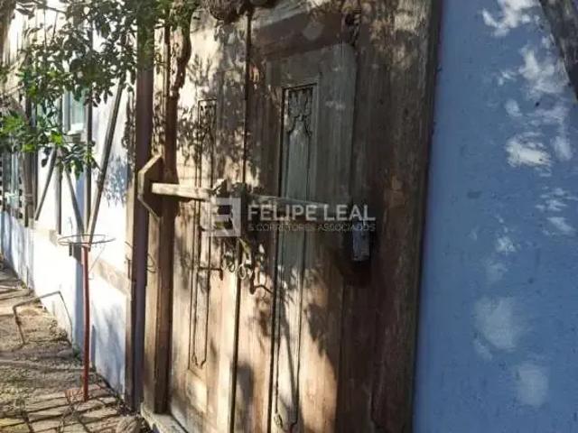 Sítio / Chácara para Venda em São Pedro de Alcântara/SC Vila Junckes 1 Quartos