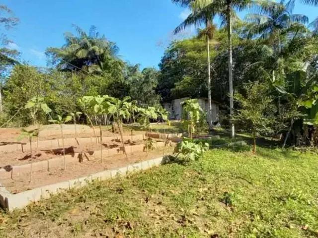 Sítio / Chácara para Venda em São Pedro de Alcântara/SC Vila Junckes 3 Quartos