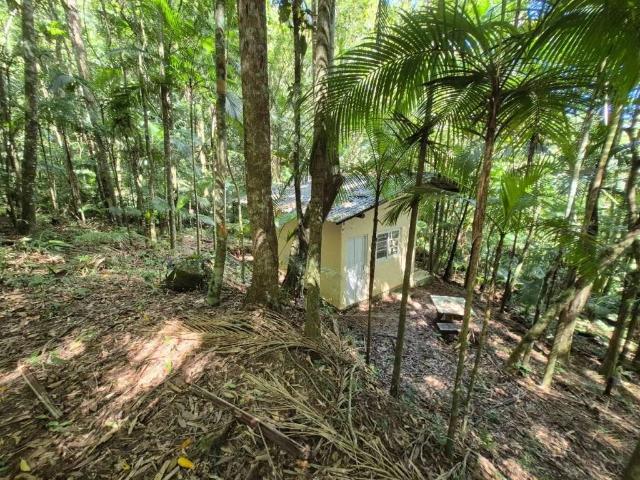 Sítio / Chácara para Venda em São Pedro de Alcântara/SC Zona Rural 1 Quartos