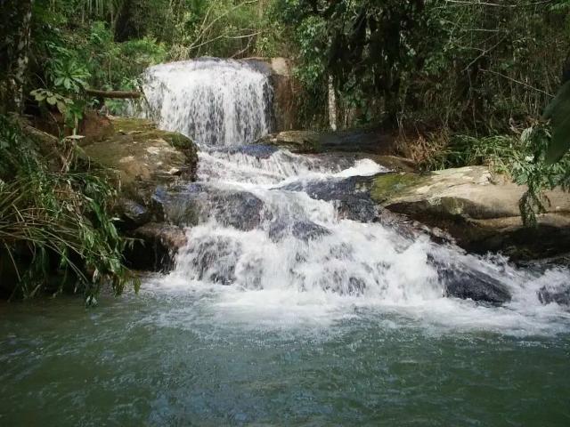 Sítio / Chácara para Venda em São Pedro de Alcântara/SC Zona Rural 2 Quartos