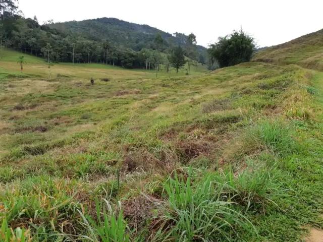 Sítio / Chácara para Venda em São Pedro de Alcântara/SC Zona Rural