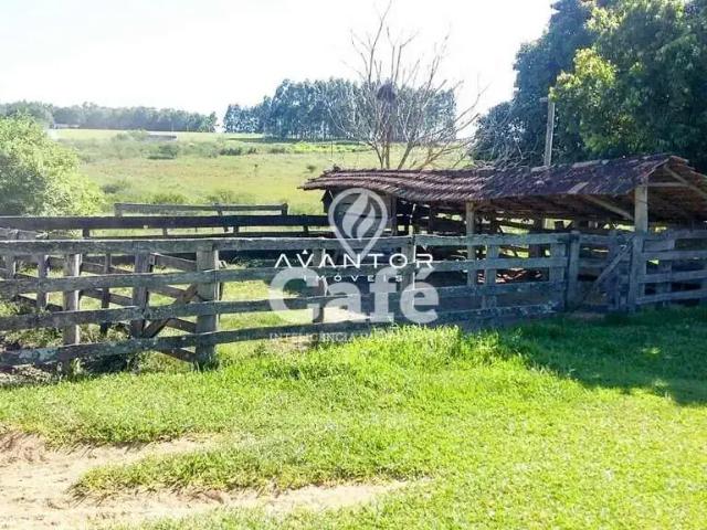Sítio / Chácara para Venda em São Pedro do Sul/RS Riveira 2 Quartos