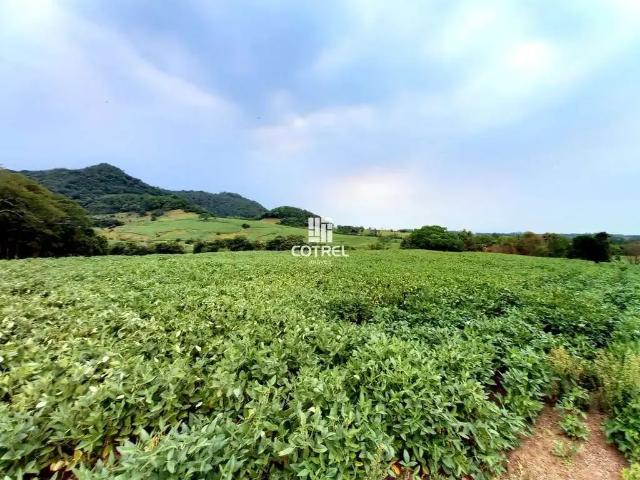 Sítio / Chácara para Venda em São Pedro do Sul/RS Zona Rural
