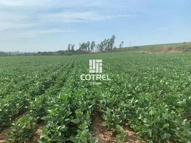 Sítio / Chácara para Venda em São Pedro do Sul/RS Zona Rural