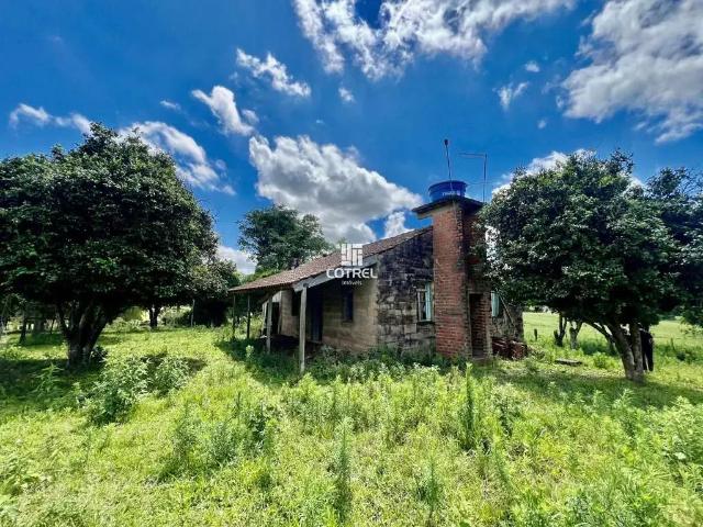 Sítio / Chácara para Venda em São Pedro do Sul/RS Zona Rural