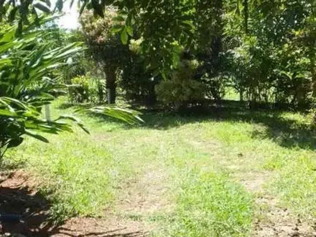 Sítio / Chácara para Venda em São Pedro/SP Alpes das Águas 4 Quartos