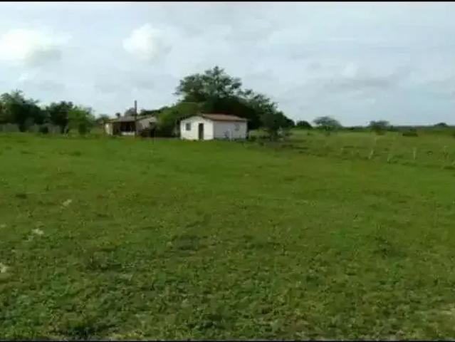 Sítio / Chácara para Venda em São Pedro/RN Centro 1 Quartos