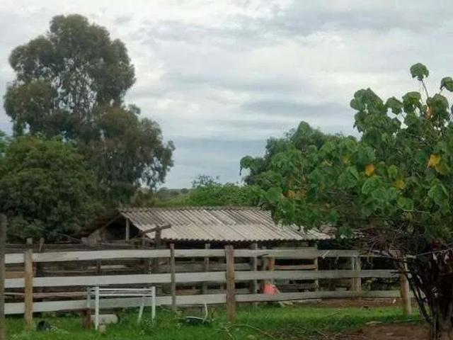 Sítio / Chácara para Venda em São Roque de Minas/MG Zona Rural