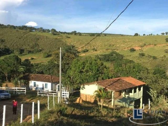 Sítio / Chácara para Venda em São Roque de Minas/MG Zona Rural