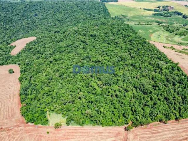 Sítio / Chácara para Venda em São Sebastião da Amoreira/PR Zona Rural 5 Quartos